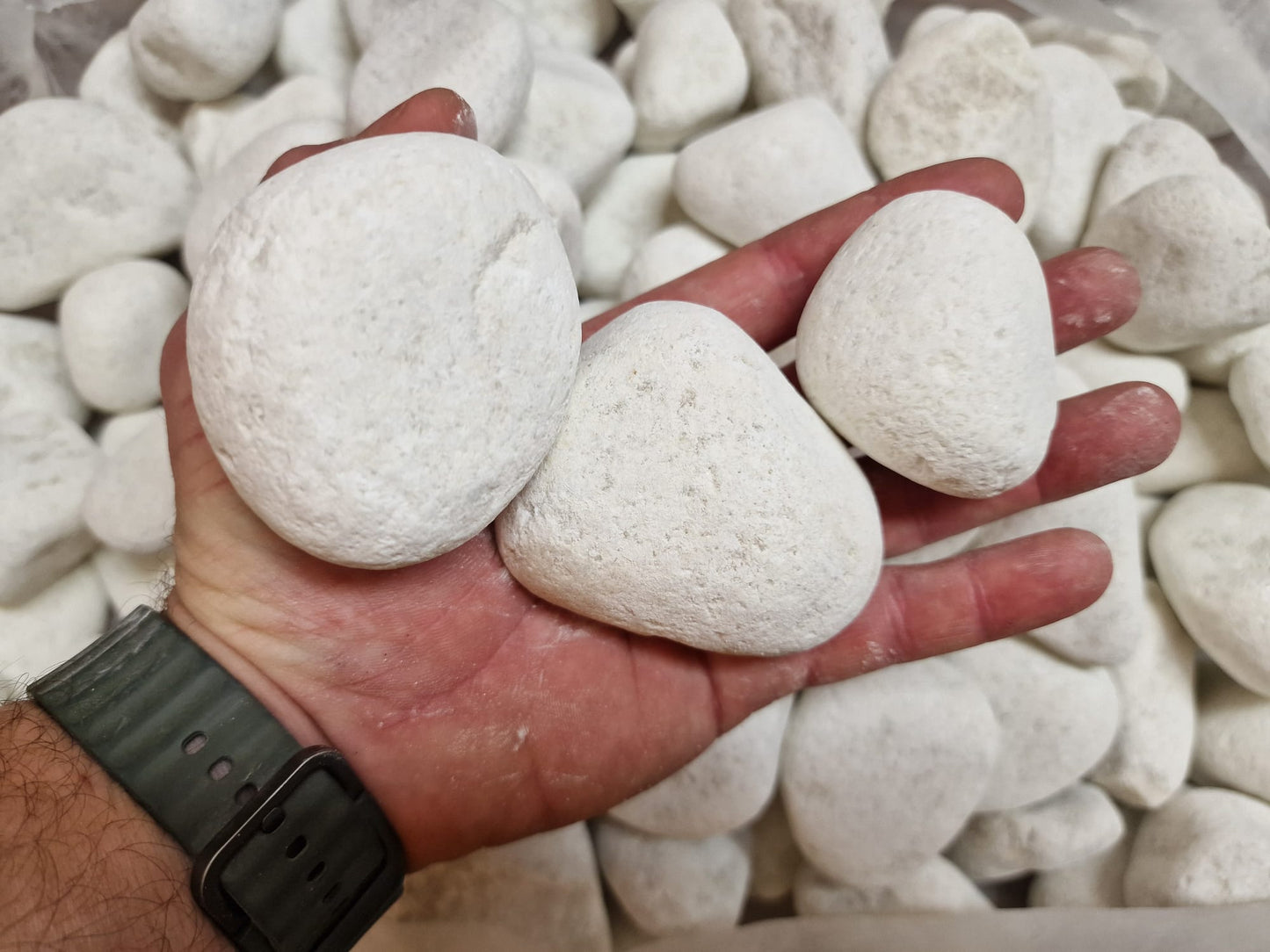 Canto Rodado Blanco Especial 40–60 mm (99%) | Piedra Decorativa para Jardín y Macetas