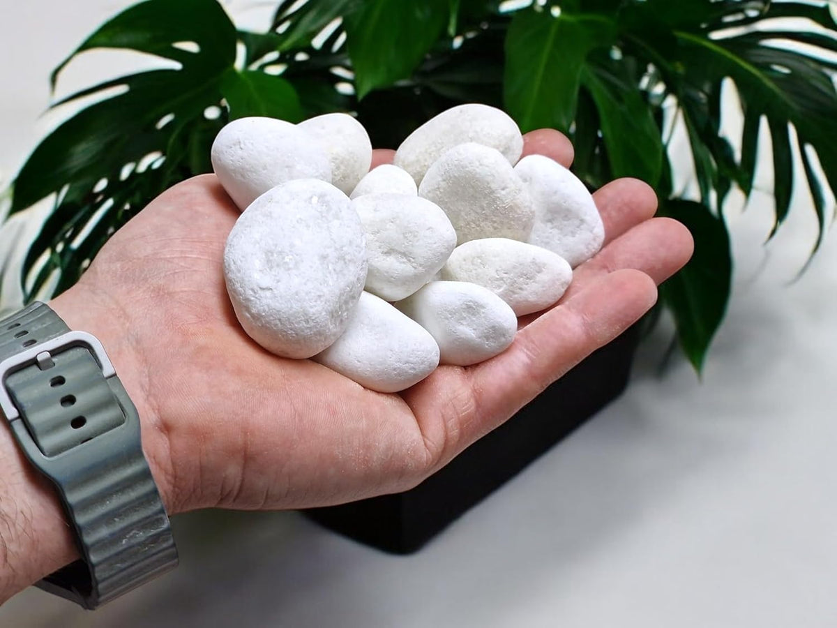 Canto Rodado Blanco Especial 99 % 20-40 mm | Piedra Decorativa para Jardín y Macetas