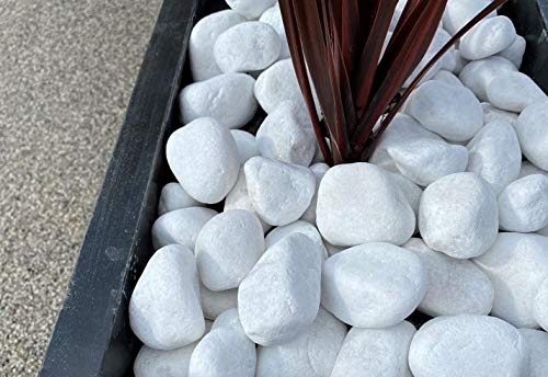 Canto Rodado Blanco Especial 99 % 20-40 mm | Piedra Decorativa para Jardín y Macetas