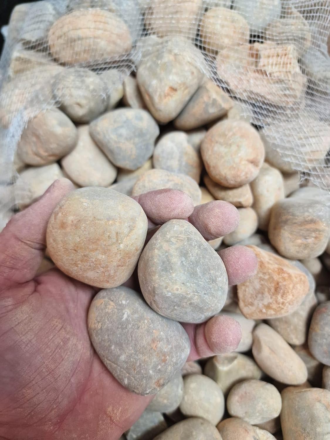Piedra Río Colores | 40/60 mm Decorativa Multicolor para Jardín, estanques y Macetas