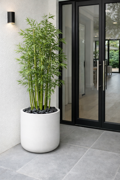 Piedras Negras Decorativas high polish | Para Jardín Interior y Exterior