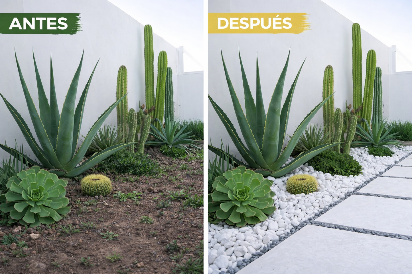 Canto Rodado Blanco Especial 10-20 mm (99 %) | Piedra Decorativa para Jardín y Macetas