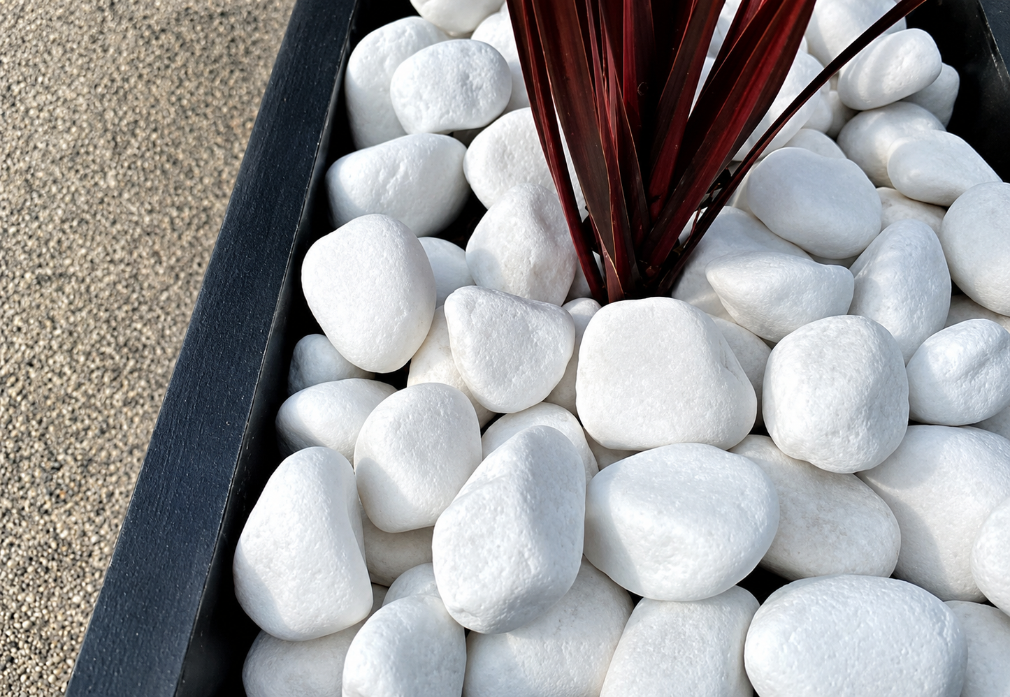 Canto Rodado Blanco Especial 99 % 20-40 mm | Piedra Decorativa para Jardín y Macetas
